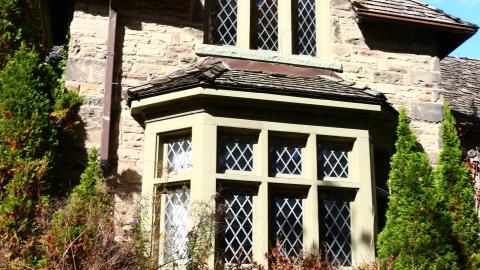 Windows. - IMG_3250.JPG