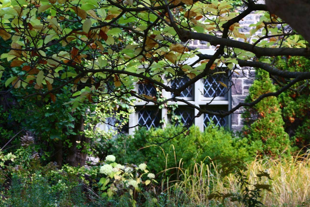 Windows. - IMG_3251.JPG