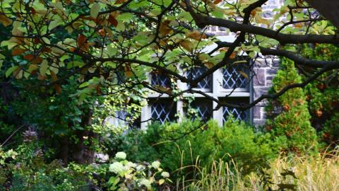 Windows. - IMG_3251.JPG