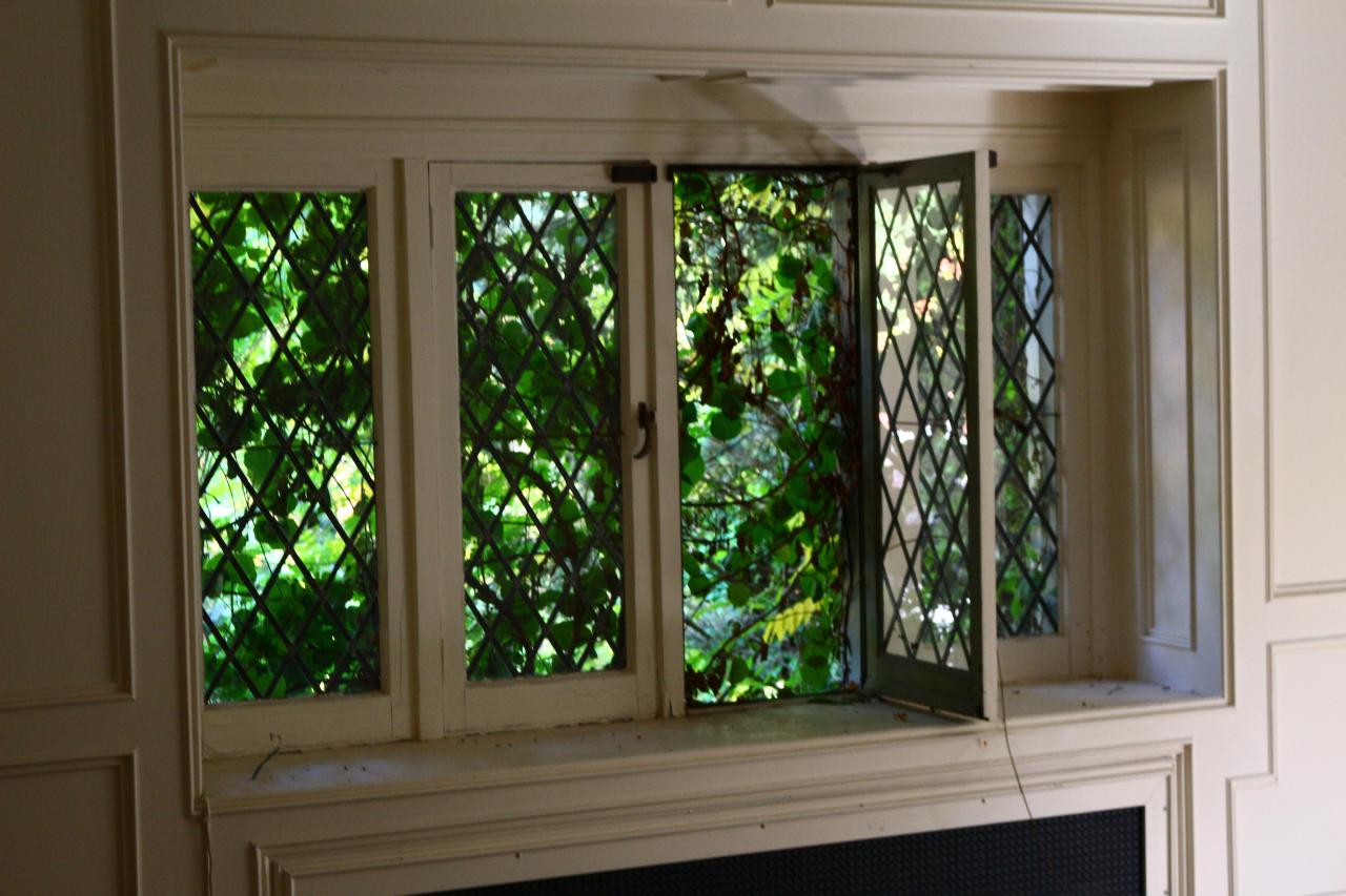 Windows. - IMG_3259.JPG