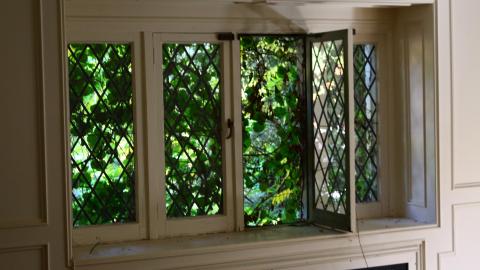 Windows. - IMG_3259.JPG