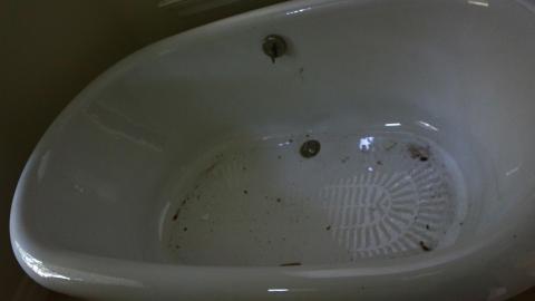 Windows. - IMG_3266.JPG