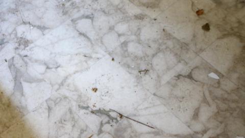 Windows. - IMG_3278.JPG