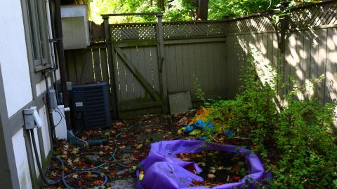 Windows. - IMG_3282.JPG