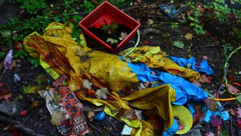 Windows. - IMG_3283.JPG