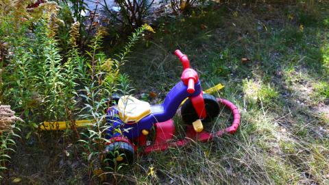 Windows. - IMG_3284.JPG