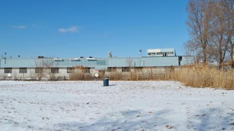 Windsor Bumper - February 2013 - DSC_0003.jpg