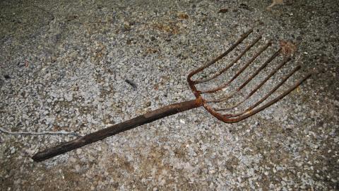 Windsor Bumper - February 2013 - DSC_0026.jpg