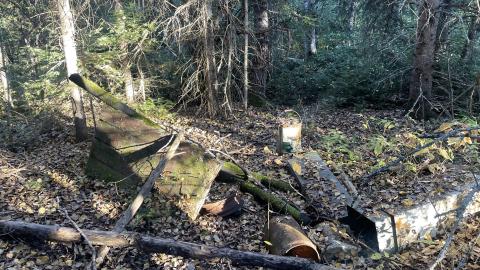 Minnows cabins - D67EECB7-B9A3-46C4-90FF-5644906172F9.jpeg