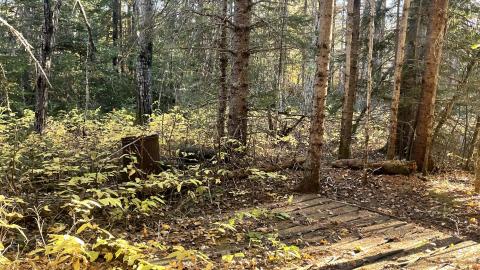 Photo from Minnows cabins