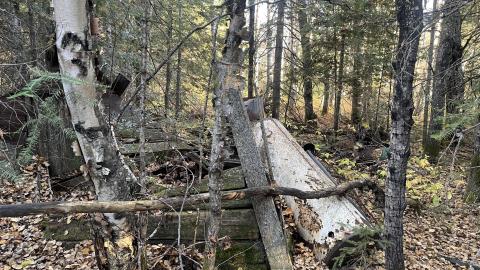 Photo from Minnows cabins