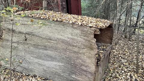 Photo from Minnows cabins