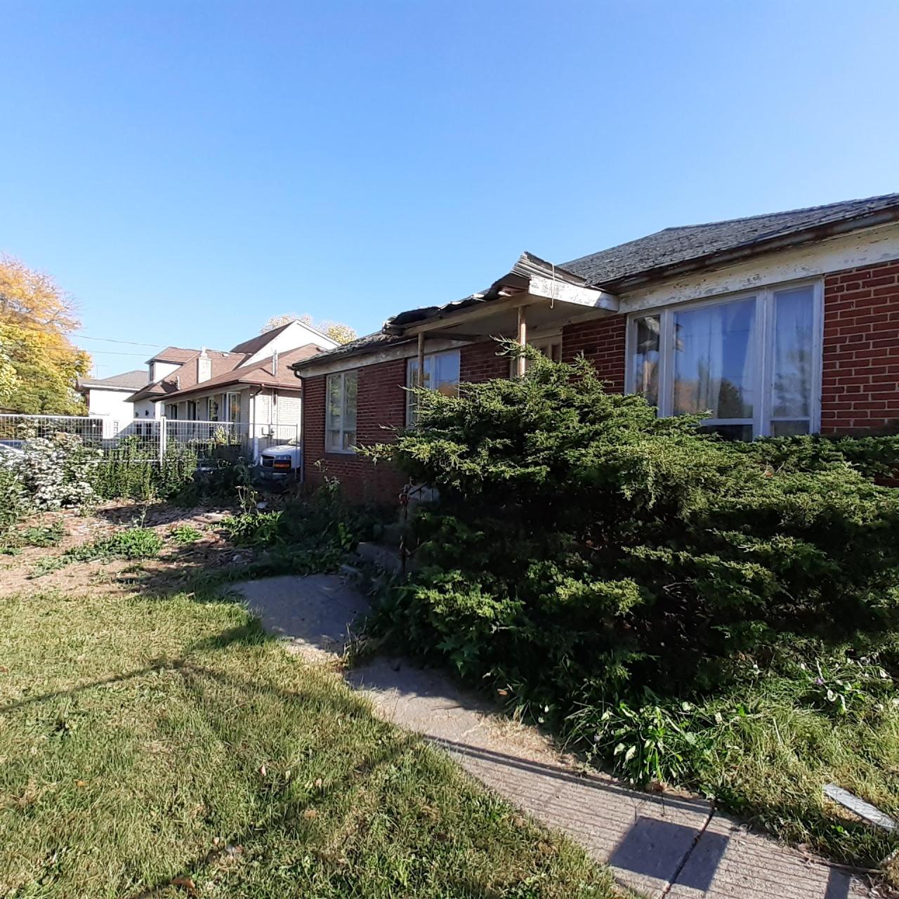 Nosey Neighbors - 20221011_155000.jpg