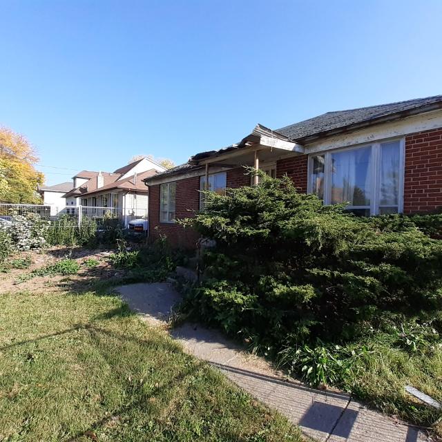 Nosey Neighbors - 20221011_155000.jpg