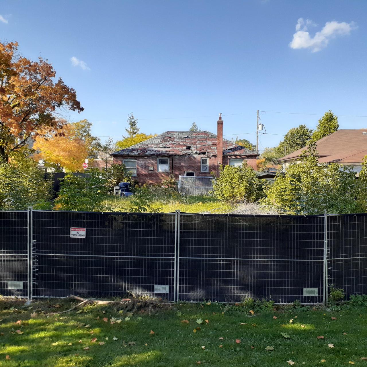 Nosey Neighbors - 20221011_154820.jpg