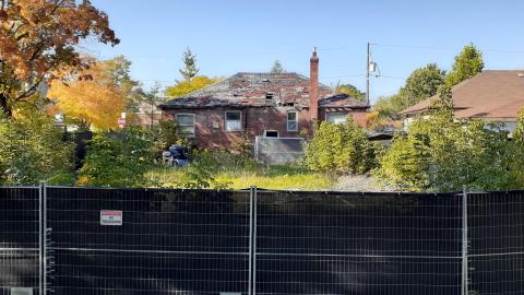 Nosey Neighbors - 20221011_154820.jpg