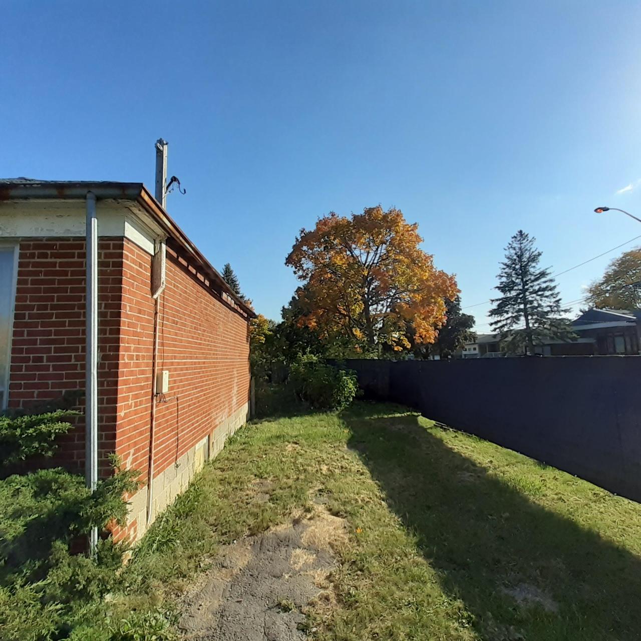 Nosey Neighbors - 20221011_155009.jpg