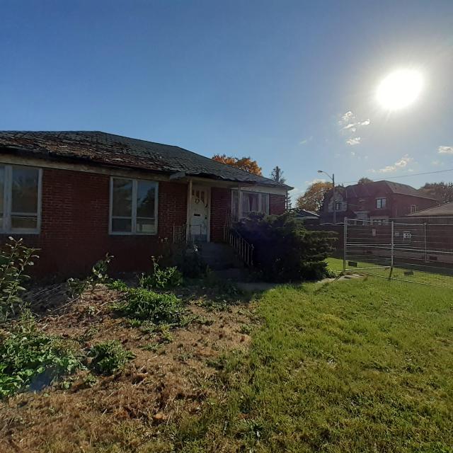 Nosey Neighbors - 20221011_155024.jpg