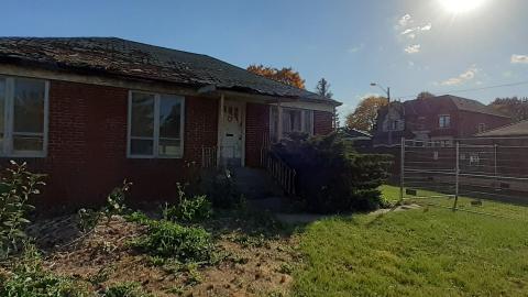 Nosey Neighbors - 20221011_155024.jpg