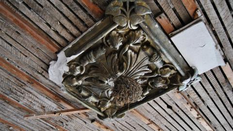 Looks Safe To Me Dum Dum - March 2013 / May 2014 / September 2017 - DSC_0120.jpg