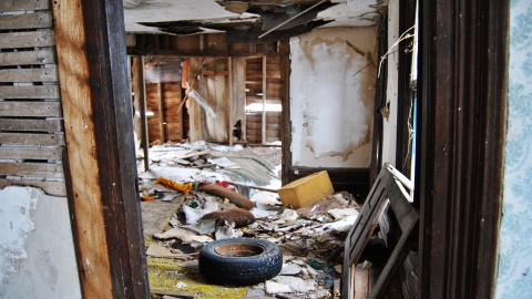 Looks Safe To Me Dum Dum - March 2013 / May 2014 / September 2017 - DSC_0121.jpg