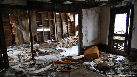 Looks Safe To Me Dum Dum - March 2013 / May 2014 / September 2017 - DSC_0122.jpg