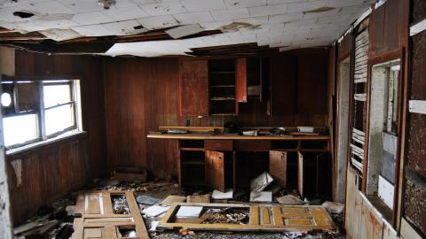 Looks Safe To Me Dum Dum - March 2013 / May 2014 / September 2017 - DSC_0123.jpg