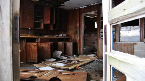 Looks Safe To Me Dum Dum - March 2013 / May 2014 / September 2017 - DSC_0125.jpg