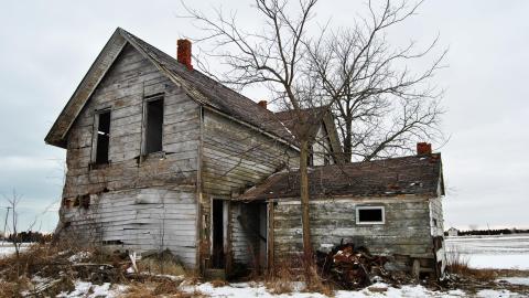 Looks Safe To Me Dum Dum - March 2013 / May 2014 / September 2017 - DSC_0143.jpg