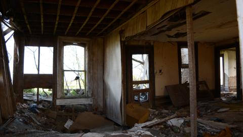 Looks Safe To Me Dum Dum - March 2013 / May 2014 / September 2017 - DSC_0590.jpg