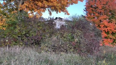 Frank Farm October 2022 - IMG_5920.JPG