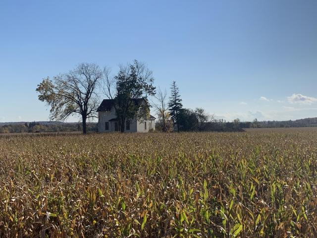 Conspicuous Farmhouse October 2022 - IMG_5834.JPG