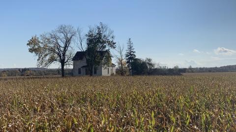 Conspicuous Farmhouse photo 2
