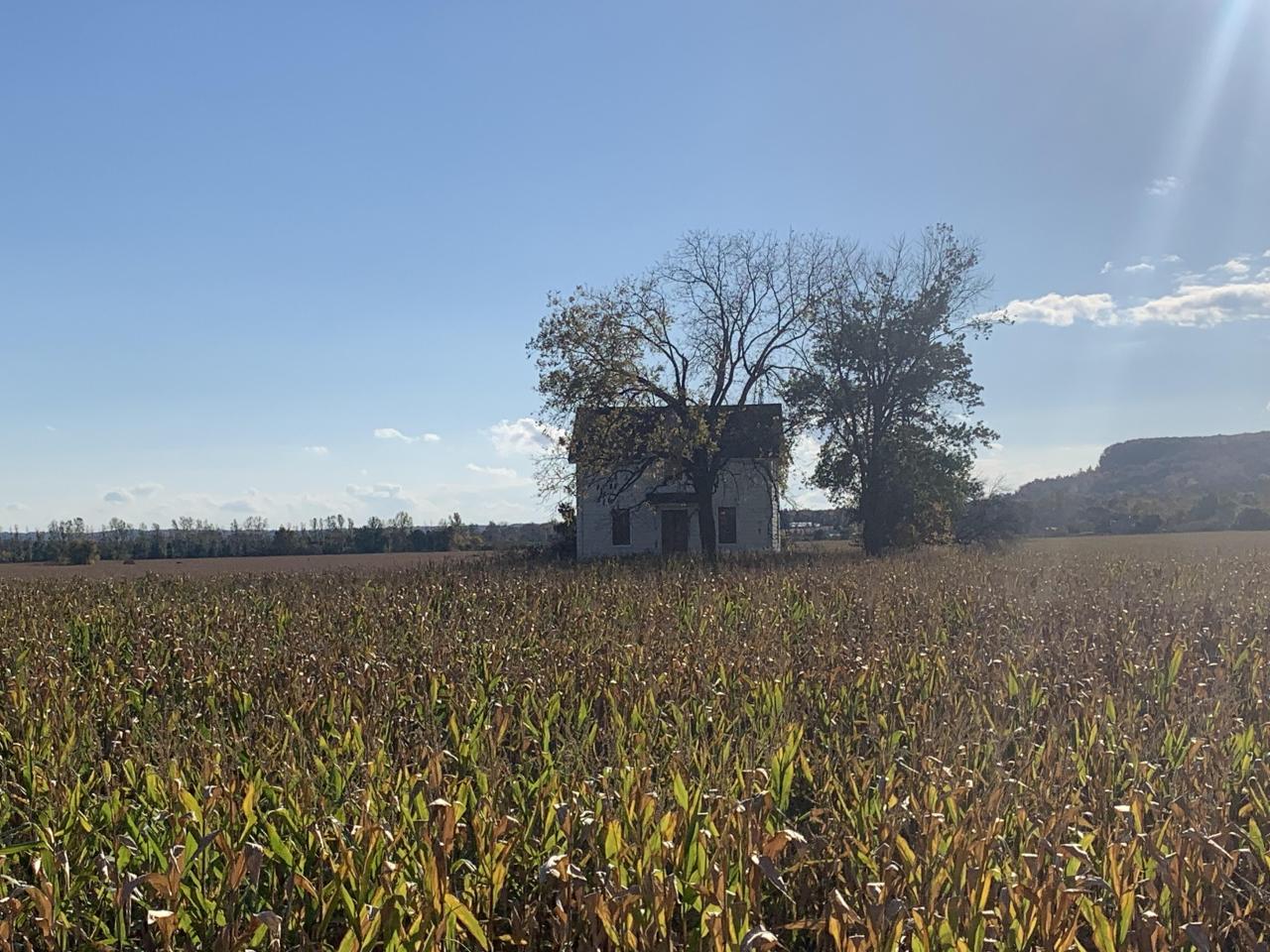Conspicuous Farmhouse October 2022 - IMG_5835.JPG