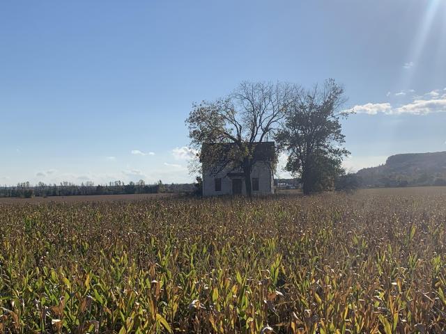 Conspicuous Farmhouse October 2022 - IMG_5835.JPG