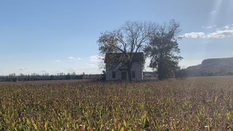 Conspicuous Farmhouse photo 3