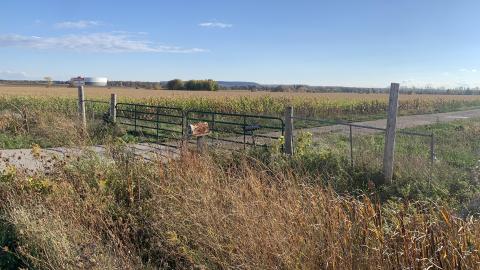 Conspicuous Farmhouse photo 5