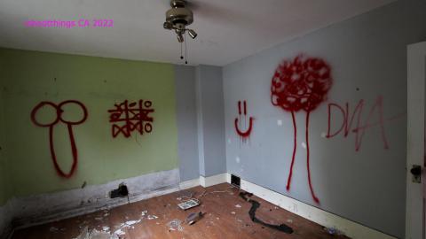 And It Continued To Plummet... (MAY 2022) - IMG_5814.JPG