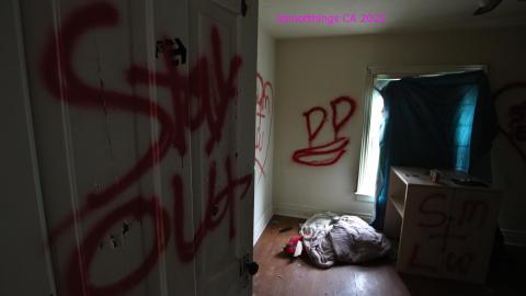 And It Continued To Plummet... (MAY 2022) - IMG_5815.JPG