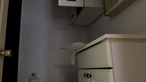 And It Continued To Plummet... (MAY 2022) - IMG_5818.JPG