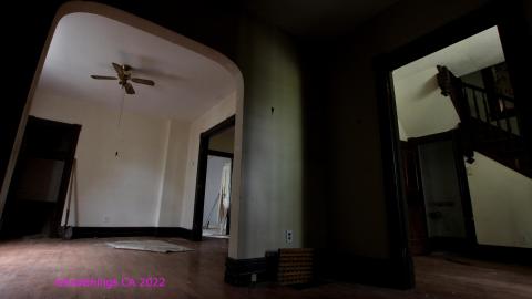 And It Continued To Plummet... (MAY 2022) - IMG_5828.JPG