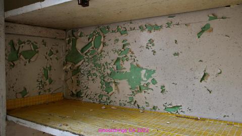 And It Continued To Plummet... (MAY 2022) - IMG_5839.JPG