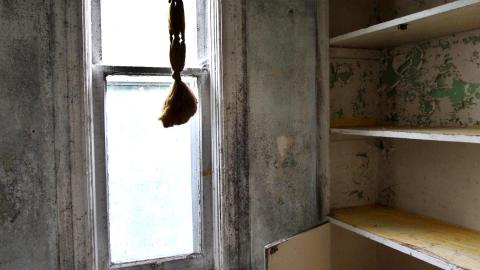 And It Continued To Plummet... (MAY 2022) - IMG_5838.JPG