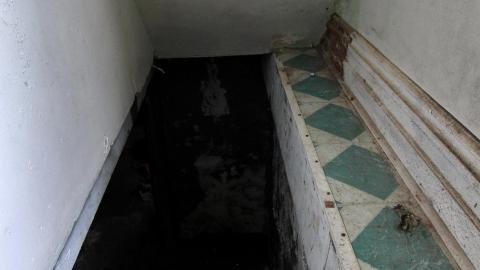 And It Continued To Plummet... (MAY 2022) - IMG_5840.JPG