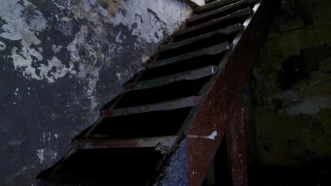 And It Continued To Plummet... (MAY 2022) - IMG_5852.JPG