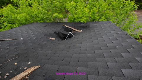 And It Continued To Plummet... (MAY 2022) - IMG_5862.JPG