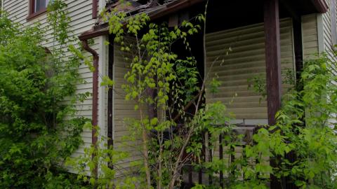 And It Continued To Plummet... (MAY 2022) - IMG_5864.JPG