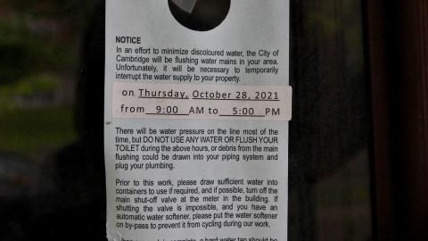 And It Continued To Plummet... (MAY 2022) - IMG_5865.JPG