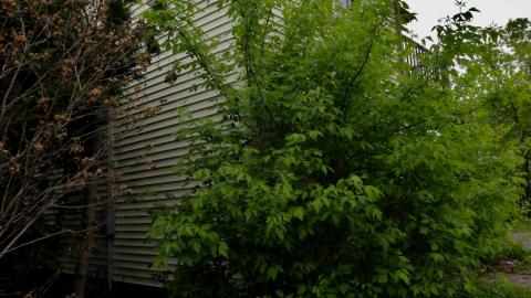 And It Continued To Plummet... (MAY 2022) - IMG_5867.JPG