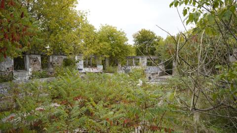 September 2022 Visit - _DSC0400.JPG